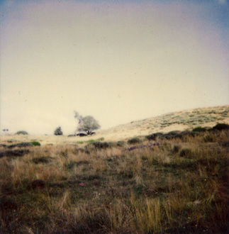 polaroïd de vallée